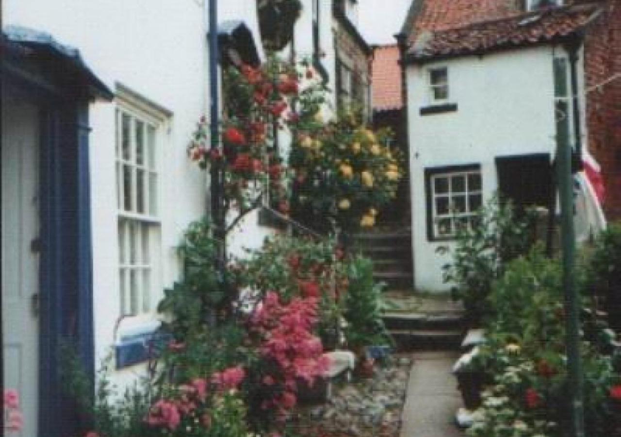 Alice Cottage ロビン・フッズ・ベイ エクステリア 写真